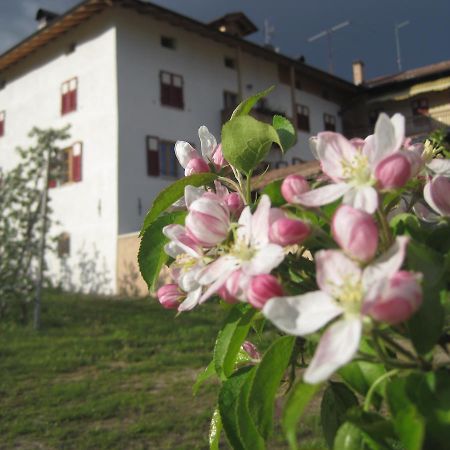 Agritur Maso San Bartolomeo Villa Romeno Exterior foto