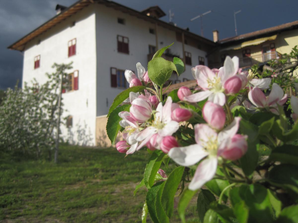 Agritur Maso San Bartolomeo Villa Romeno Exterior foto